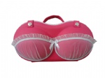 Classic EVA bra travel bags/ cases/ organizers/ Carriers/ Boxes