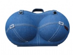 Classic EVA bra travel bags/ cases/ organizers/ Carriers/ Boxes