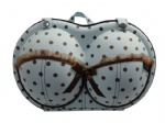 Large EVA bra travel bags/ cases/ organizers/ Carriers/ Boxes