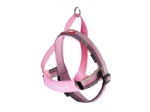 Neoprene Pets/Dogs Harness OEM service